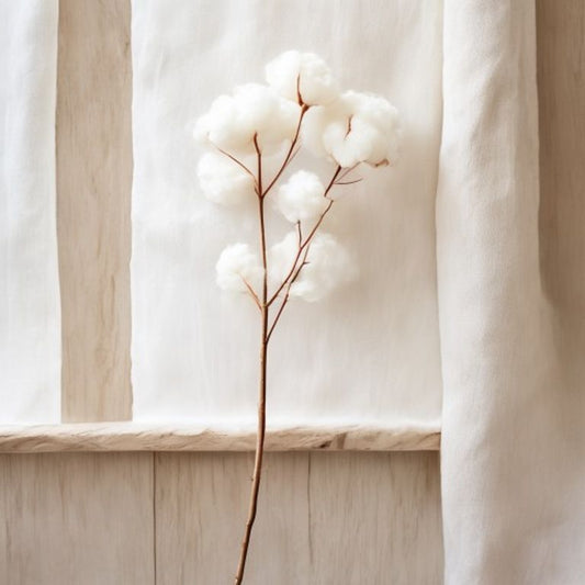 Algodao Crudo Kumo — Direto do Nordeste | Aura Decore